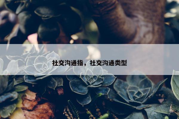 社交沟通指，社交沟通类型