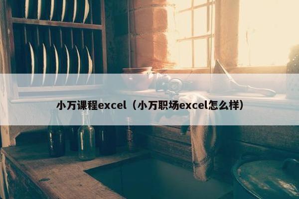 小万课程excel（小万职场excel怎么样）
