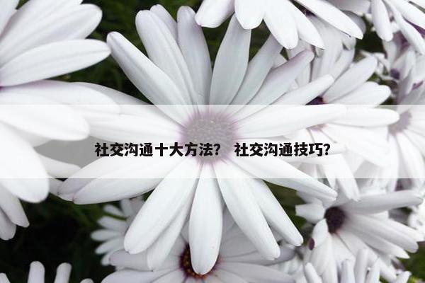 社交沟通十大方法？ 社交沟通技巧？