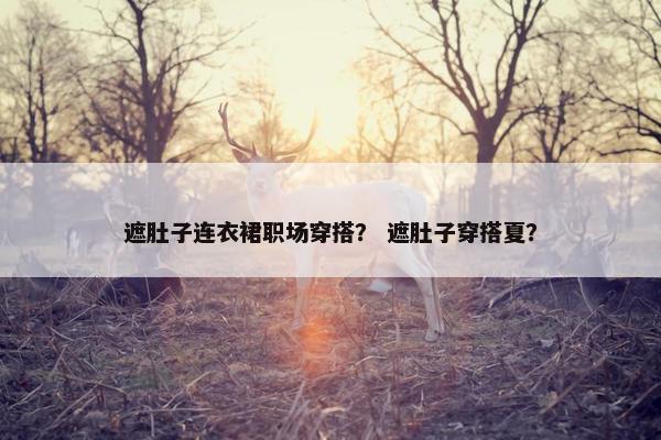 遮肚子连衣裙职场穿搭？ 遮肚子穿搭夏？