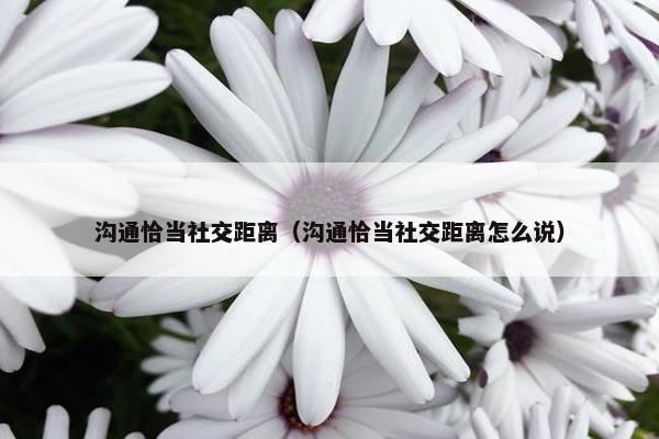 沟通恰当社交距离（沟通恰当社交距离怎么说）