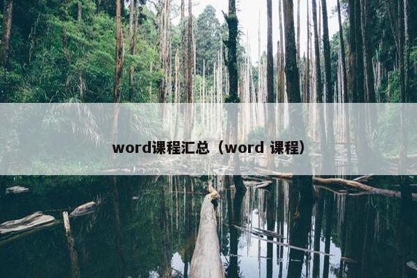 word课程汇总（word 课程）