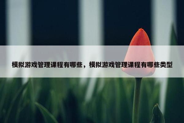 模拟游戏管理课程有哪些，模拟游戏管理课程有哪些类型