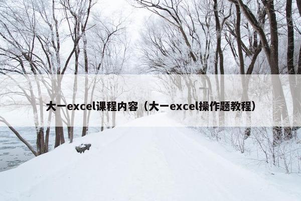 大一excel课程内容（大一excel操作题教程）