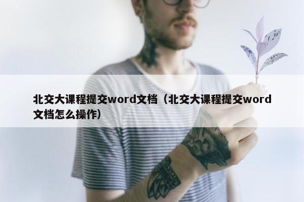 北交大课程提交word文档（北交大课程提交word文档怎么操作）