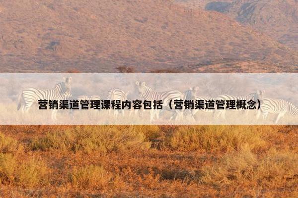营销渠道管理课程内容包括（营销渠道管理概念）