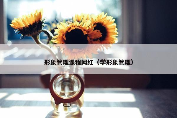 形象管理课程网红（学形象管理）