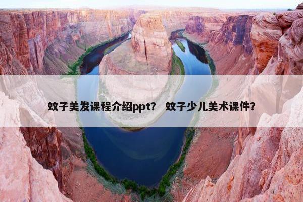 蚊子美发课程介绍ppt？ 蚊子少儿美术课件？