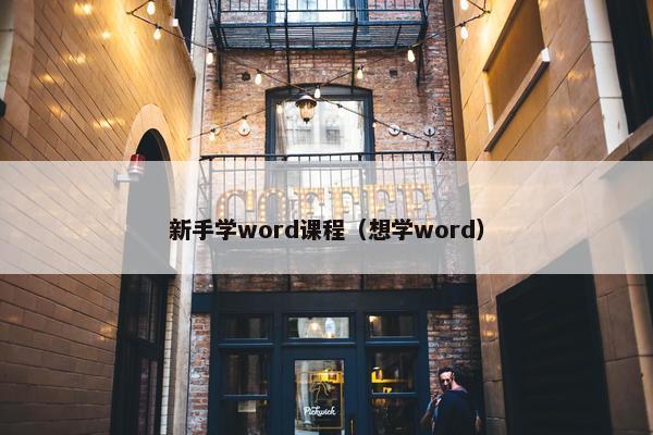 新手学word课程（想学word）