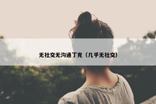 无社交无沟通丁克（几乎无社交）