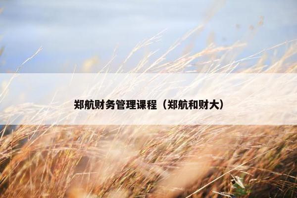 郑航财务管理课程（郑航和财大）