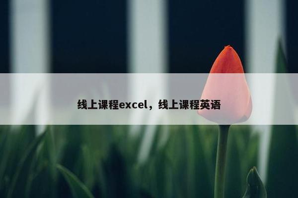 线上课程excel，线上课程英语