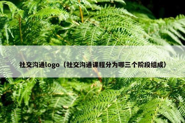 社交沟通logo（社交沟通课程分为哪三个阶段组成）
