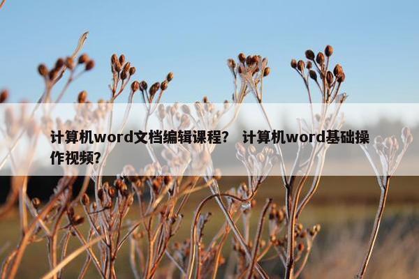计算机word文档编辑课程？ 计算机word基础操作视频？