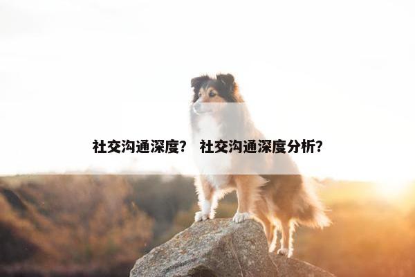 社交沟通深度？ 社交沟通深度分析？