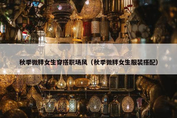 秋季微胖女生穿搭职场风（秋季微胖女生服装搭配）