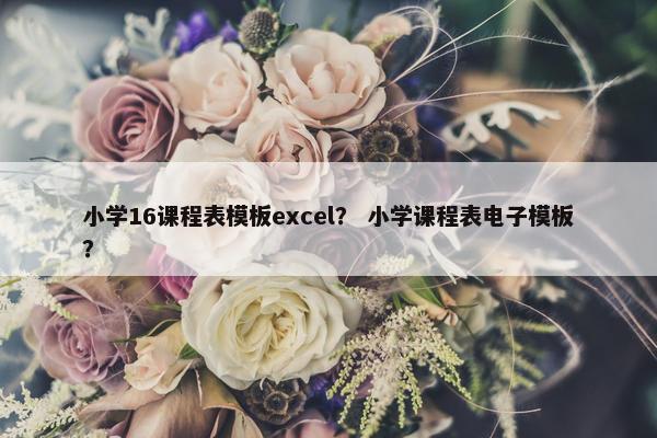 小学16课程表模板excel？ 小学课程表电子模板？