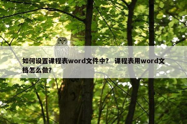 如何设置课程表word文件中？ 课程表用word文档怎么做？