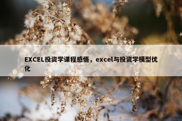 EXCEL投资学课程感悟，excel与投资学模型优化