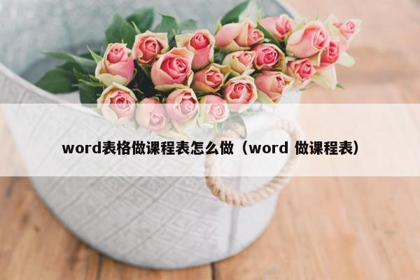 word表格做课程表怎么做（word 做课程表）