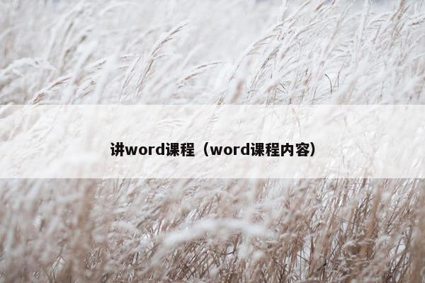 讲word课程（word课程内容）