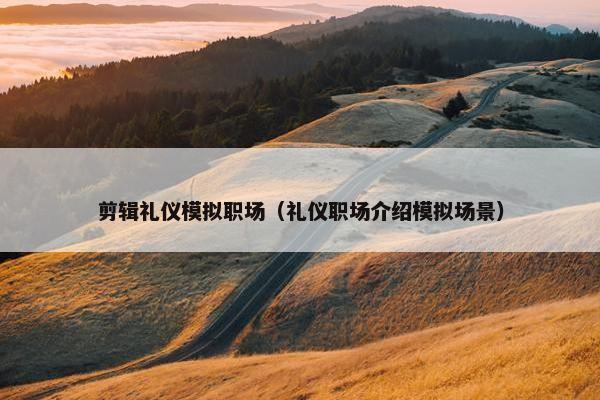 剪辑礼仪模拟职场（礼仪职场介绍模拟场景）