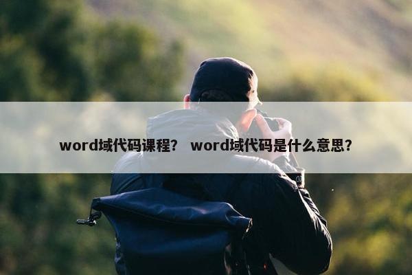 word域代码课程？ word域代码是什么意思？