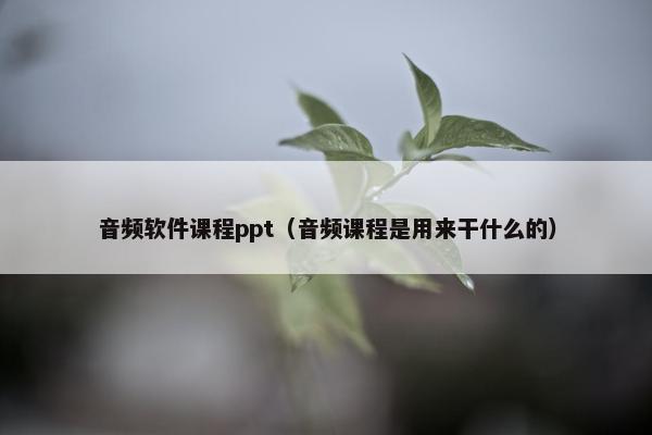 音频软件课程ppt（音频课程是用来干什么的）