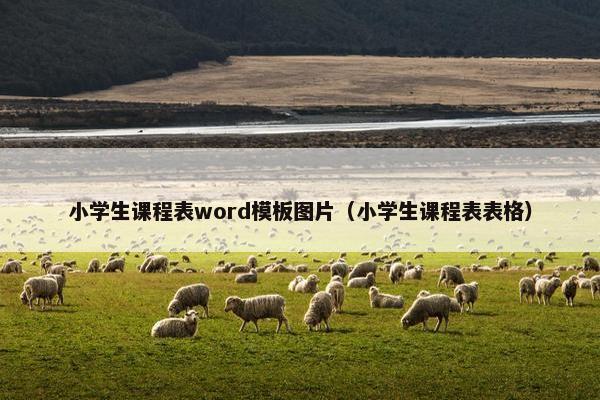 小学生课程表word模板图片（小学生课程表表格）