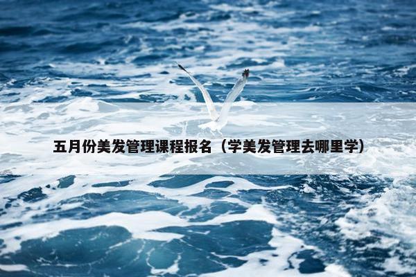 五月份美发管理课程报名（学美发管理去哪里学）