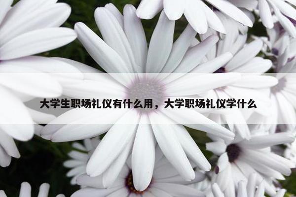 大学生职场礼仪有什么用，大学职场礼仪学什么
