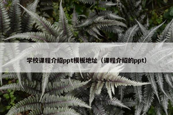 学校课程介绍ppt模板地址（课程介绍的ppt）