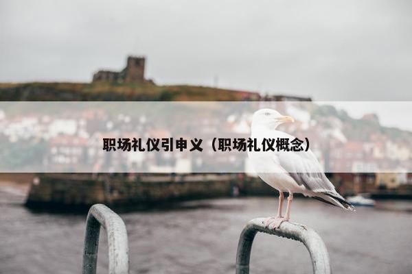职场礼仪引申义（职场礼仪概念）