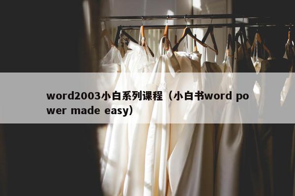 word2003小白系列课程（小白书word power made easy）