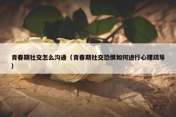青春期社交怎么沟通（青春期社交恐惧如何进行心理疏导）