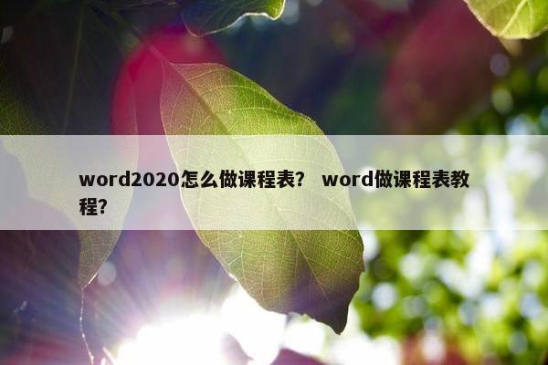 word2020怎么做课程表？ word做课程表教程？