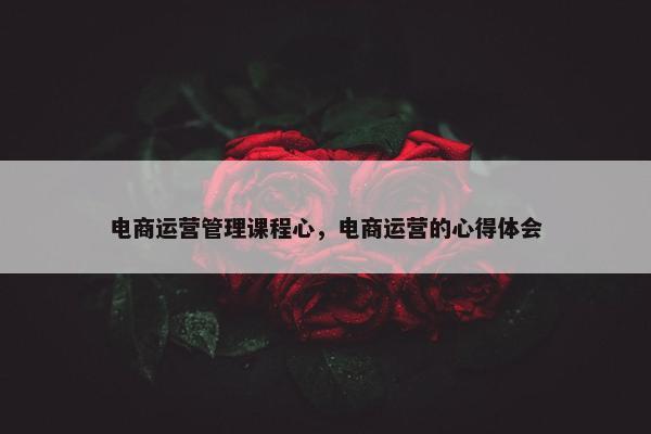 电商运营管理课程心，电商运营的心得体会