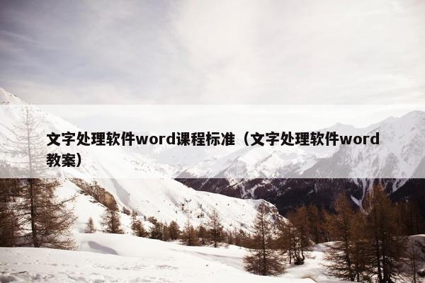 文字处理软件word课程标准（文字处理软件word教案）