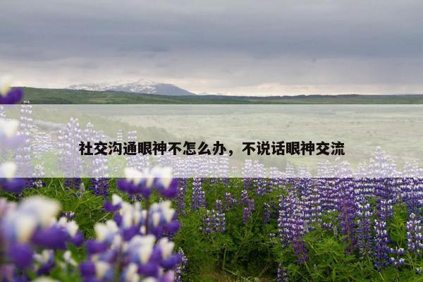 社交沟通眼神不怎么办，不说话眼神交流
