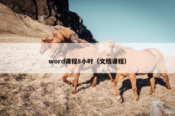 word课程8小时（文档课程）