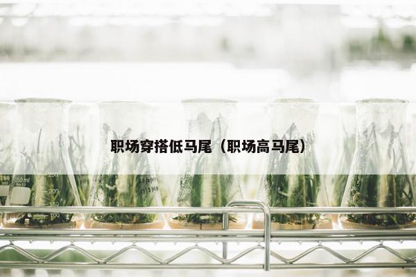 职场穿搭低马尾（职场高马尾）