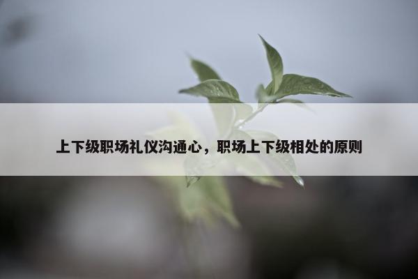 上下级职场礼仪沟通心，职场上下级相处的原则