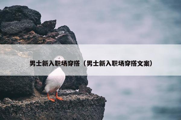 男士新入职场穿搭（男士新入职场穿搭文案）