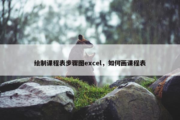 绘制课程表步骤图excel，如何画课程表