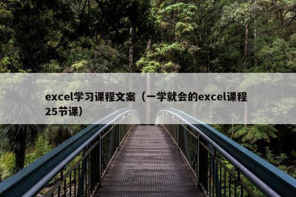 excel学习课程文案（一学就会的excel课程 25节课）