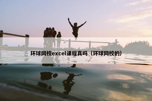 环球网校excel课程真吗（环球网校的）