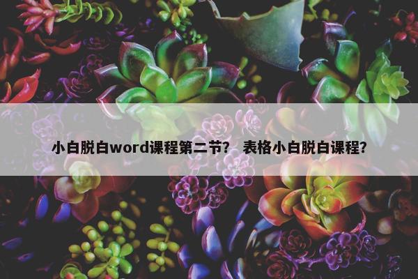 小白脱白word课程第二节？ 表格小白脱白课程？