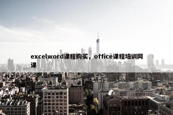 excelword课程购买，office课程培训网课