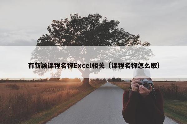 有新颖课程名称Excel相关（课程名称怎么取）