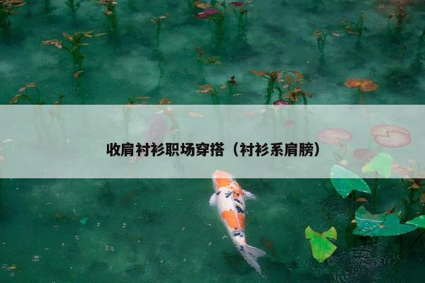 收肩衬衫职场穿搭（衬衫系肩膀）